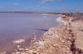 Apartamento Migos 350m from the sea, Playa del Acequión, - Foto 24