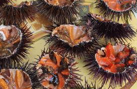 Bel appartement dans hameau calme - Foto 38