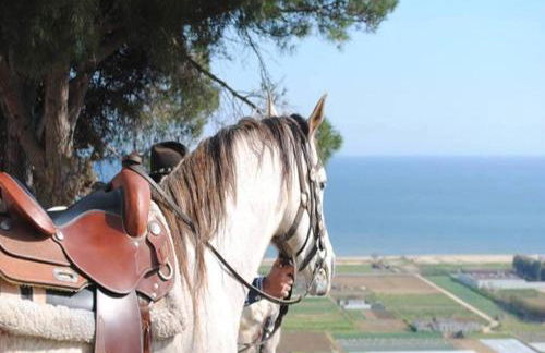 Chillout House with heated pool 29 C Sea & Mountain view - Photo 27