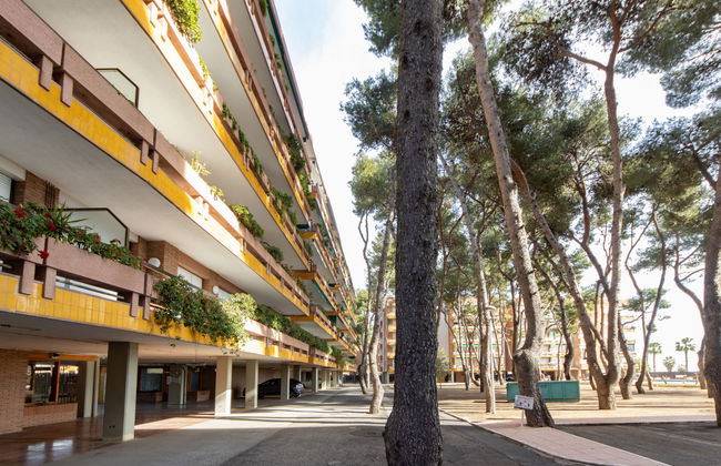 Els Pins Eduardo - Foto 26