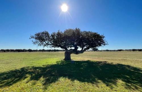 El MIRADOR DEL TORMES - Foto 19