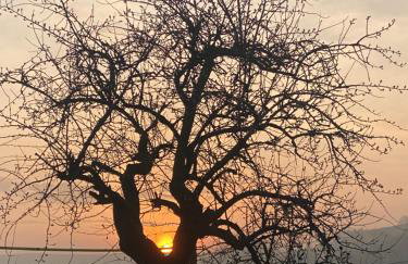 Holme Valley Vista, Holmfirth - Foto 28