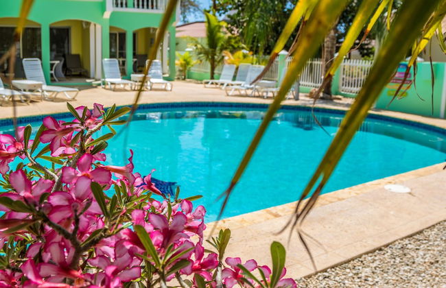 Coral Paradise Resort - Foto 1