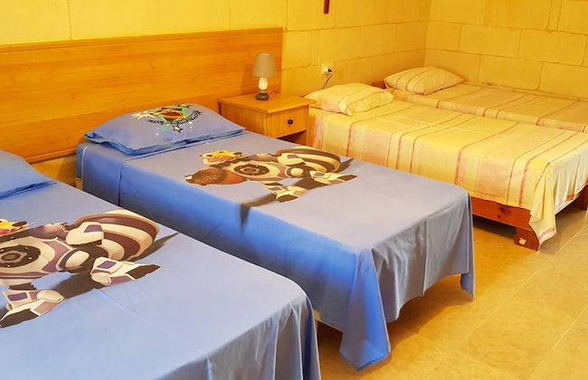 Farmhouse on an Olive Grove - Foto 6