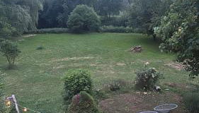 FERIENWOHNUNG ALL YOU NIED mit NIEDBLICK und TERRASSE - Foto 2, Garden