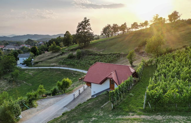 Vineyard Cottage Krivic - Photo 18