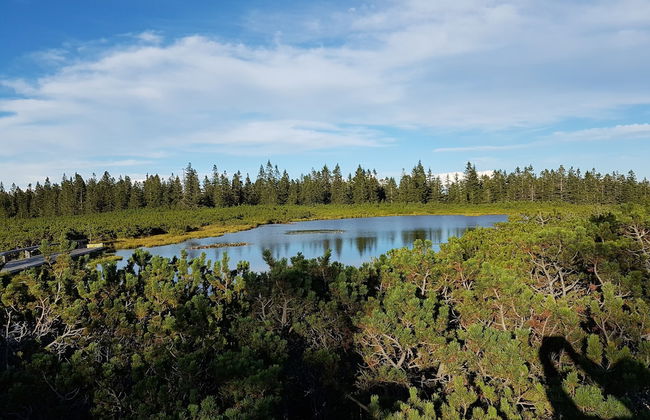 Apartmaji Koželj - Foto 31
