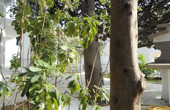 Petrovac Holiday House with pool - Foto 32