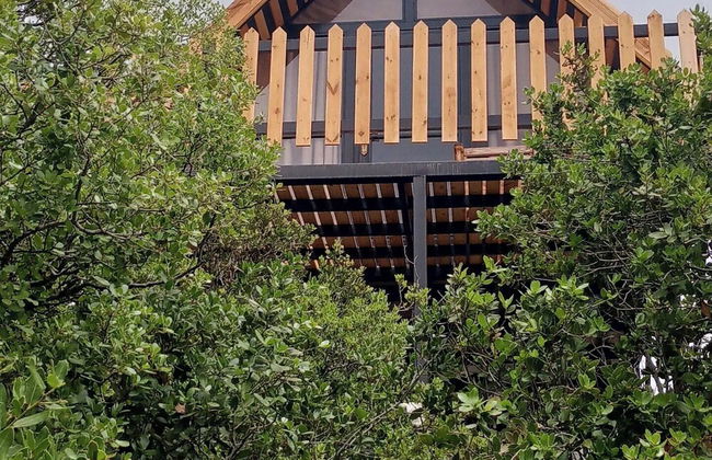 orchid huts - Photo 1