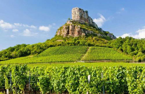 Château des Janroux - Foto 74