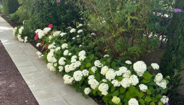 Bel appartement centre climatisé parking privé - Foto 4, Garden