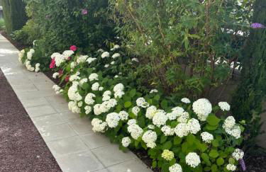 Appartement de Prestige au centre climatisé avec jardin privé - Foto 21