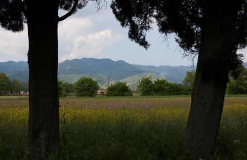 Agriturismo La Topaia - Foto 23