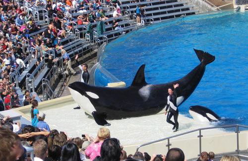 Entire Private Home with 2 Bedrooms 1 Bathroom, King Bed, Pool, Hot Tub, 2 Parking in Mira Mesa Available Now - Photo 37