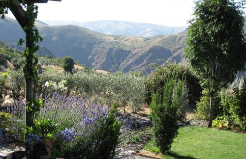 Cortijo Opazo - Foto 27