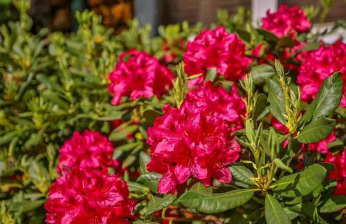 3 minutes to posh Downtown or majestic Dry Falls - Foto 23