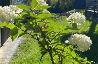 elements - Solina, z sauną - Foto 15