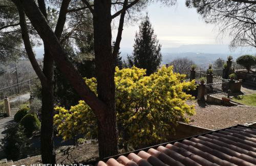 Feudo Algerazzi - Foto 37