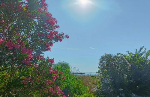 domus rosada - Foto 33