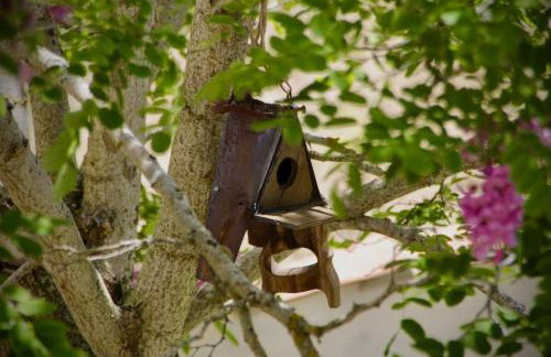 La Manzana - Photo 31