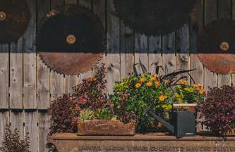 The Cowshed - Photo 30