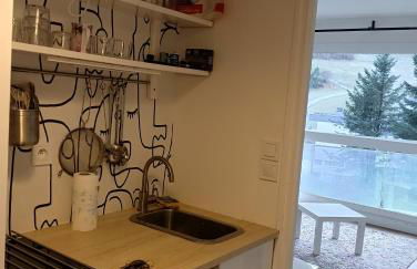 Bonito estudio a pie de la pista de Gourette - Foto 7