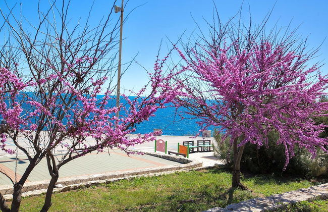 2910 Casa Botte by Barbarhouse - Foto 15