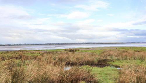 Cherry Croft - Foto 3