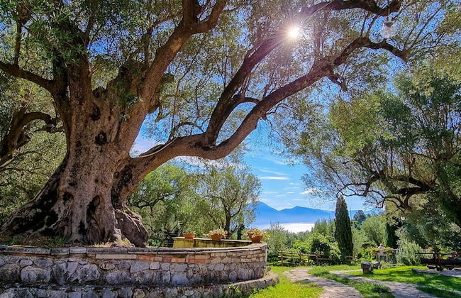 Pie' d'Ulivo - Foto 32