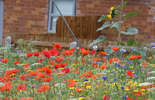 The Cow 'ouse, Wolds Way Holiday Cottages, 1 bed cottage - Foto 16