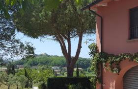 Podere Lo Stringaio - Foto 21