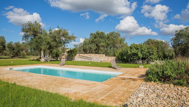 Azienda Agricola Spirdo - Foto 2, Imagen principal