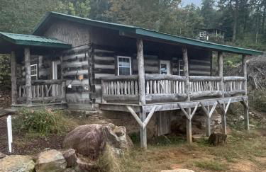 Lookout Mtn cabin with a view - Foto 28