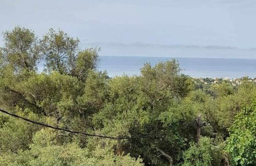 Barbara's House - Foto 38