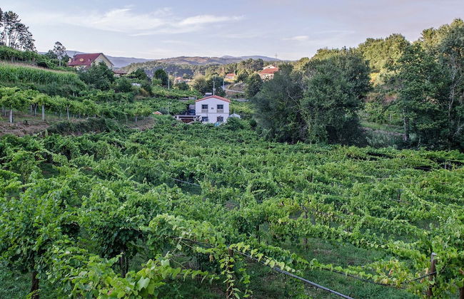 Casa da Cevidade - Foto 32