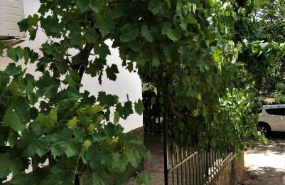 Alojamientos Loma de Mariangela - Foto 22