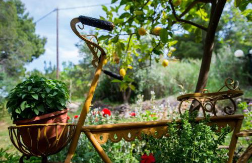 Aphrodite's Coast Retreat House! - Photo 47