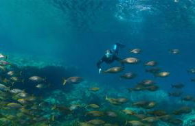 Apartamento EL CABO VI - Foto 16