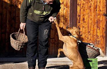 Agritur Maso Pra' Cavai B&B - Photo 8