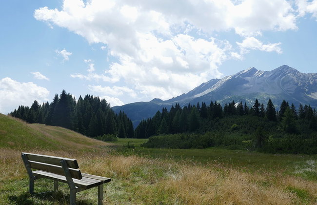 Panorama View 905 - Foto 32