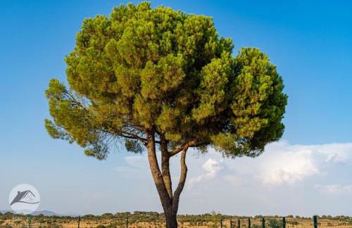 Alojamento Local Santa Marta - Foto 8