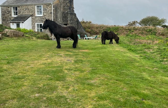 Kitts Cottage in Redruth - Foto 42