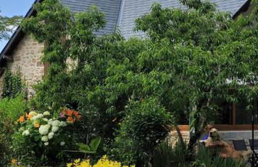 Le fournil - Foto 25