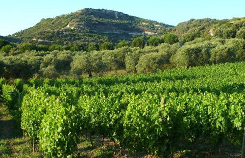 Pessighette Dimora Di Campagna - Photo 24