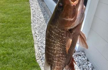 Dockside Delight Waterfront Gulf Access 4 mins to Beach - Foto 32