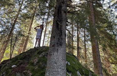 Bavaria Mountain Chalet DESIGN Ferienwohnung SKI Arber Osser Terrasse Sauna in Villa mit Bergblick bis 6 Pers - Foto 38