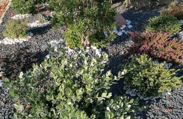 Casa de Férias do Parque da Peneda 2 - Foto 50