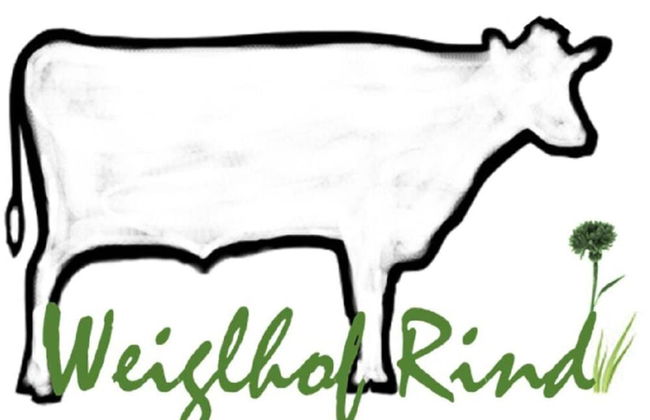 Richter Comfortable Holiday Residence - Photo 8