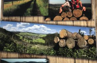 Ferienwohnung Kölbel Familienurlaub in der Natur - Foto 33