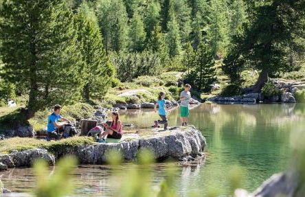 GARDEN SUITE appartment - Foto 45